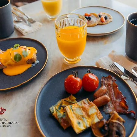 Hotel Barrilario Douro Wine E - Quinta Sao Jose Do Barrilario Armamar