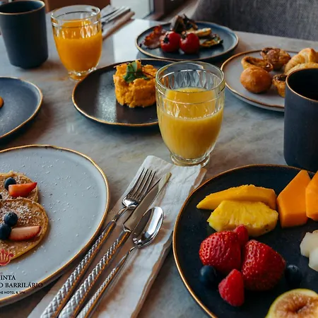 Barrilario Douro Wine E - Quinta Sao Jose Do Barrilario Hotel