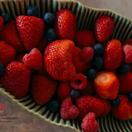 Hotel Barrilario Douro Wine E - Quinta Sao Jose Do Barrilario 5*