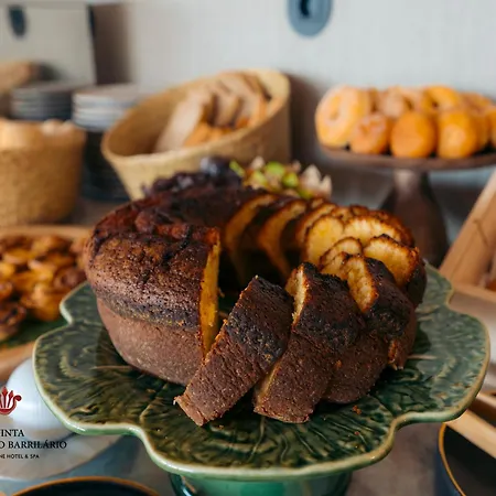 Barrilario Douro Wine E - Quinta Sao Jose Do Barrilario Hotel