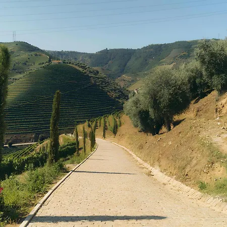 Barrilario Douro Wine E - Quinta Sao Jose Do Barrilario Armamar