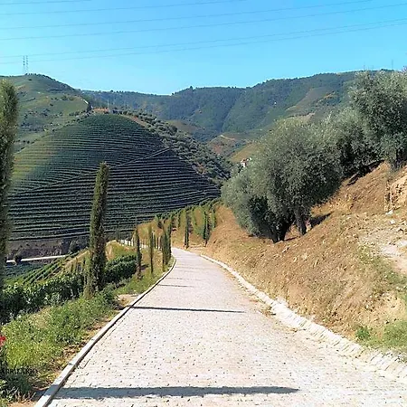 Barrilario Douro Wine E - Quinta Sao Jose Do Barrilario 5*