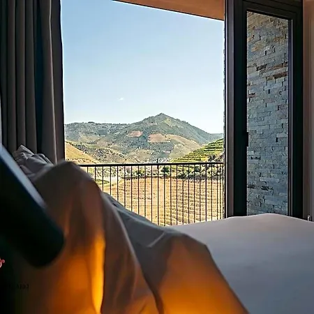 Отель Barrilario Douro Wine E - Quinta Sao Jose Do Barrilario Армамар