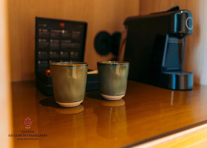 Hotel Barrilario Douro Wine E - Quinta Sao Jose Do Barrilario Armamar