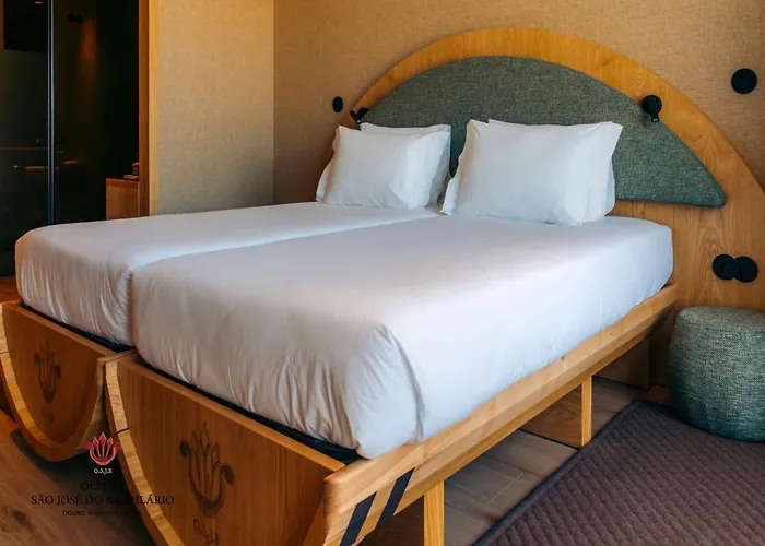 ホテル Barrilario Douro Wine E - Quinta Sao Jose Do Barrilario 5*