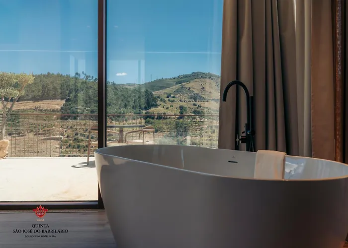Barrilario Douro Wine E - Quinta Sao Jose Do Barrilario 5* アルママール