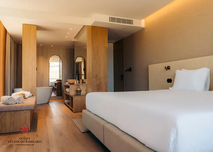 Barrilario Douro Wine E - Quinta Sao Jose Do Barrilario Hotel Armamar