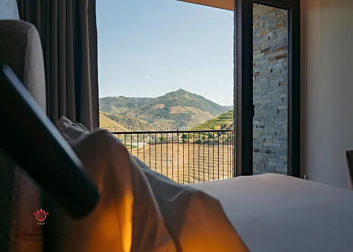 Barrilario Douro Wine E - Quinta Sao Jose Do Barrilario 5* アルママール