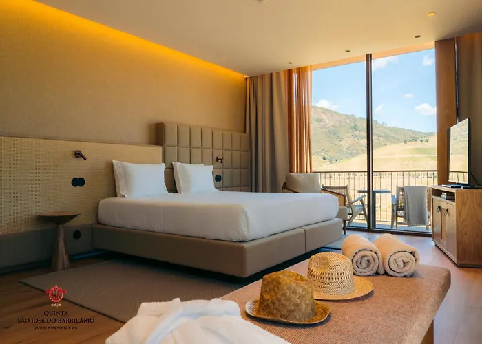 Hotel Barrilario Douro Wine E - Quinta Sao Jose Do Barrilario 5*