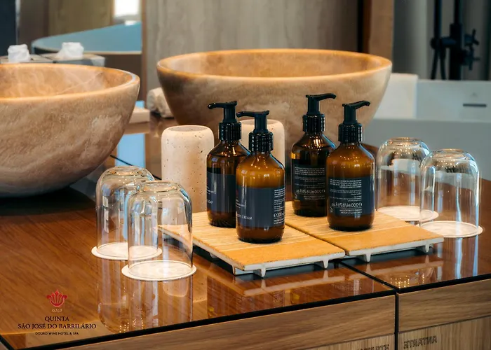 Barrilario Douro Wine E - Quinta Sao Jose Do Barrilario Hotel Armamar