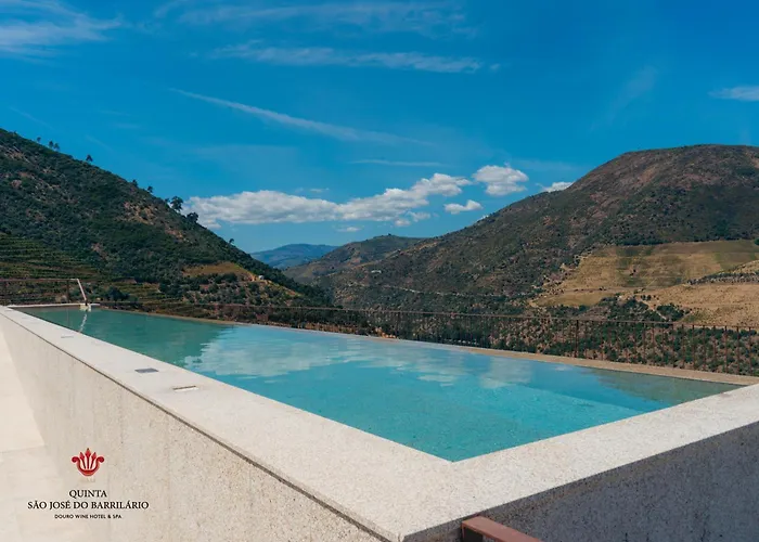 Barrilario Douro Wine E - Quinta Sao Jose Do Barrilario ホテル