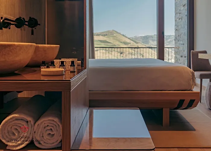 ホテル Barrilario Douro Wine E - Quinta Sao Jose Do Barrilario アルママール