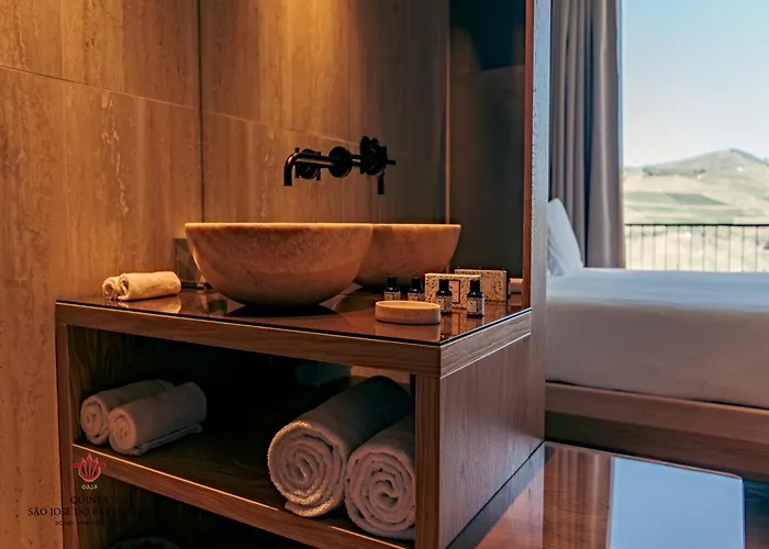 Barrilario Douro Wine E - Quinta Sao Jose Do Barrilario 5* アルママール