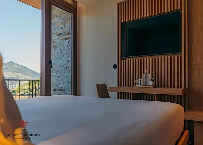 Barrilario Douro Wine E - Quinta Sao Jose Do Barrilario ホテル アルママール