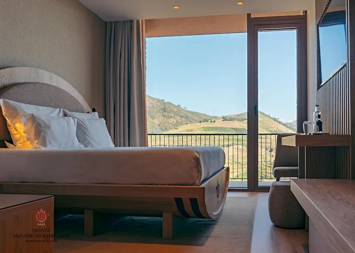 Barrilario Douro Wine E - Quinta Sao Jose Do Barrilario Armamar