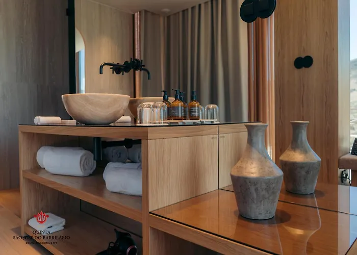 ホテル Barrilario Douro Wine E - Quinta Sao Jose Do Barrilario アルママール