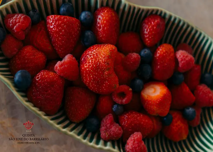 ホテル Barrilario Douro Wine E - Quinta Sao Jose Do Barrilario 5*