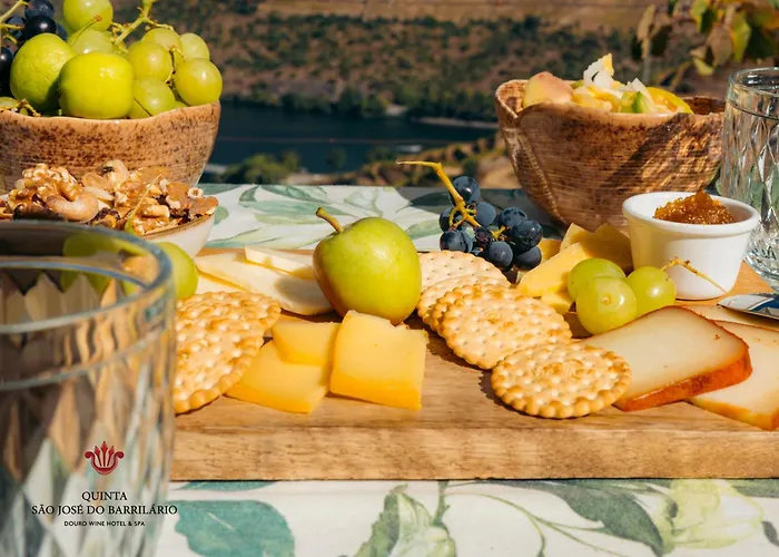 Barrilario Douro Wine E - Quinta Sao Jose Do Barrilario ホテル アルママール