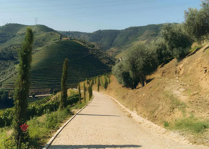 Barrilario Douro Wine E - Quinta Sao Jose Do Barrilario Armamar