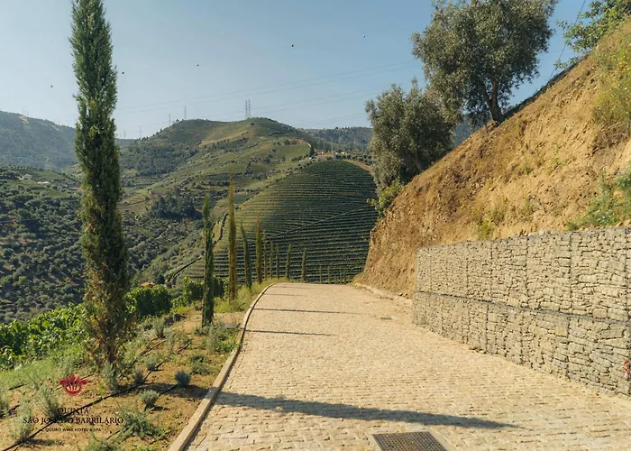 Barrilario Douro Wine E - Quinta Sao Jose Do Barrilario ホテル